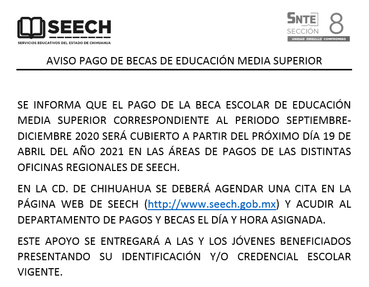 BECAS MEDIA