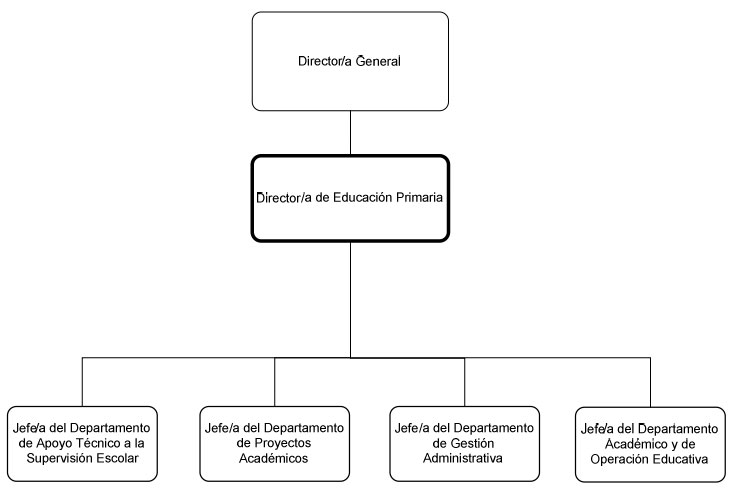 Dirección de Educación Primaria