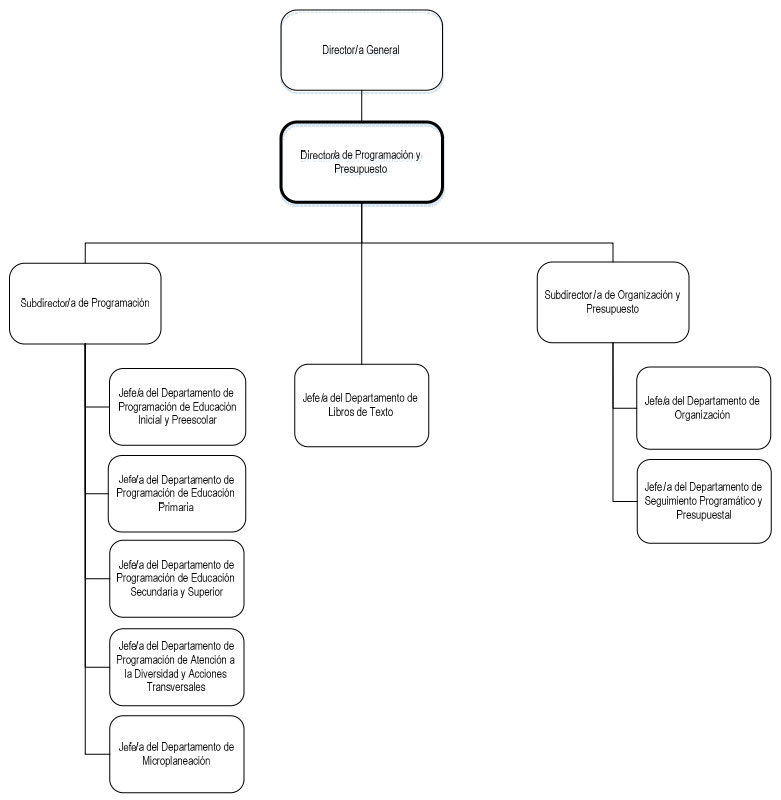 Dirección de Programación y Presupuesto